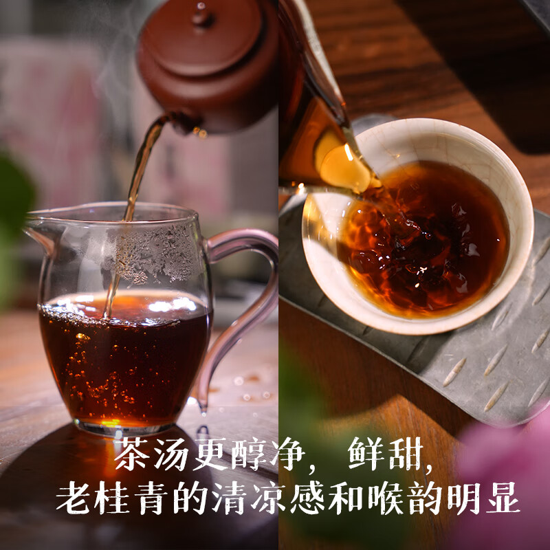 Little Senior Sister Reviews Camellia Zizai 2021 Floral Liubao Tea Guangxi Specialty Black Tea Guiqing 520 400g