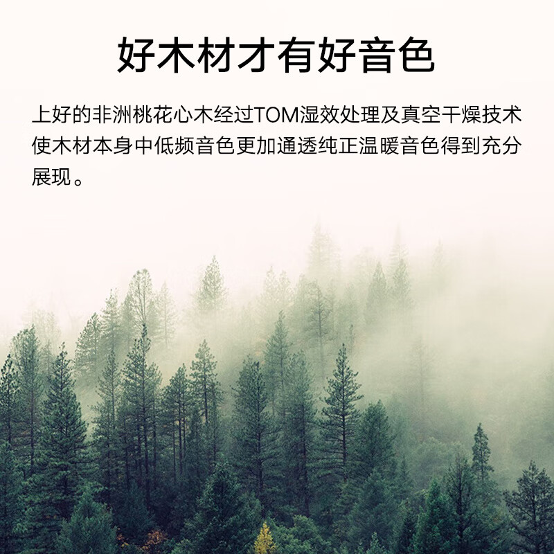 Tom ukulele for adults and children beginners 23-inch mahogany veneer T5 youth version ukulele small guitar