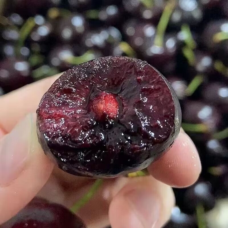 Caiti Chile imported cherries 5kg4j fresh cherries next day delivery cherry fresh fruit seasonal whole box 4kg (net weight) gift box 4J 32mm (inclusive)-34mm (inclusive)