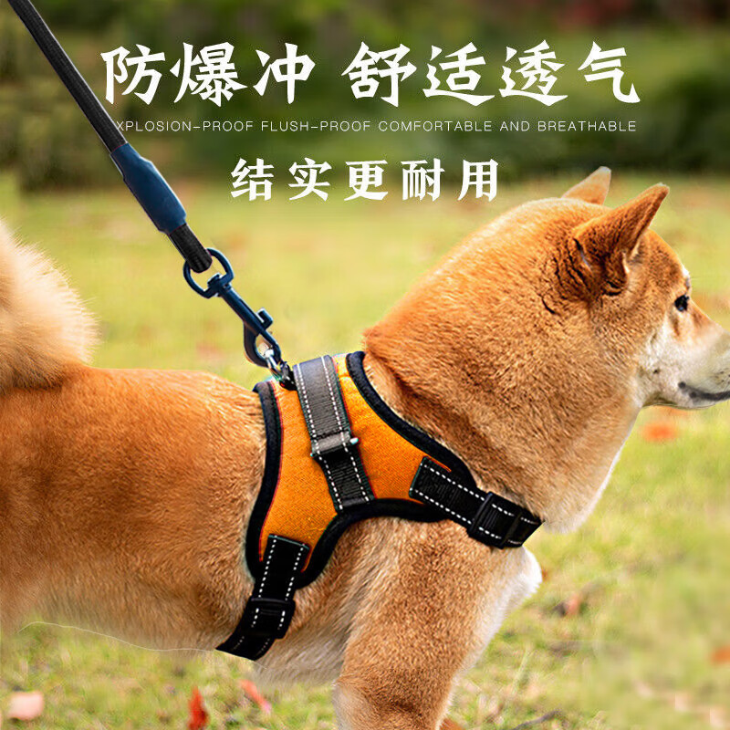 Five-tail corner, 2-meter longer rope, dog leash, corgi harness, traction rope, medium and large small dog walking rope, Shiba Inu, red S (recommended 8-20 catties)
