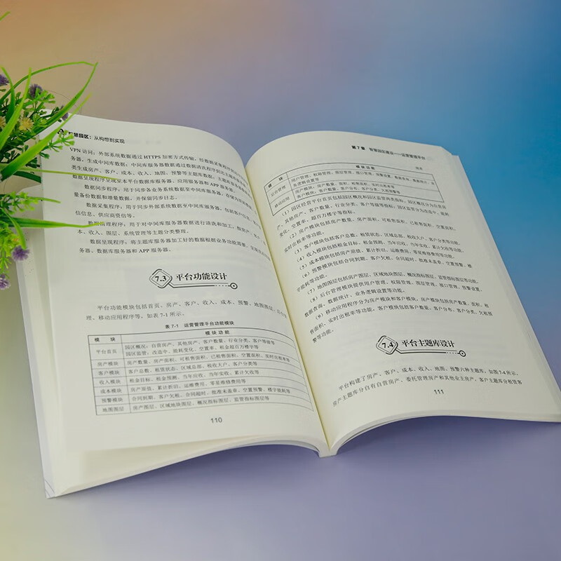 Smart Park (from conception to realization)