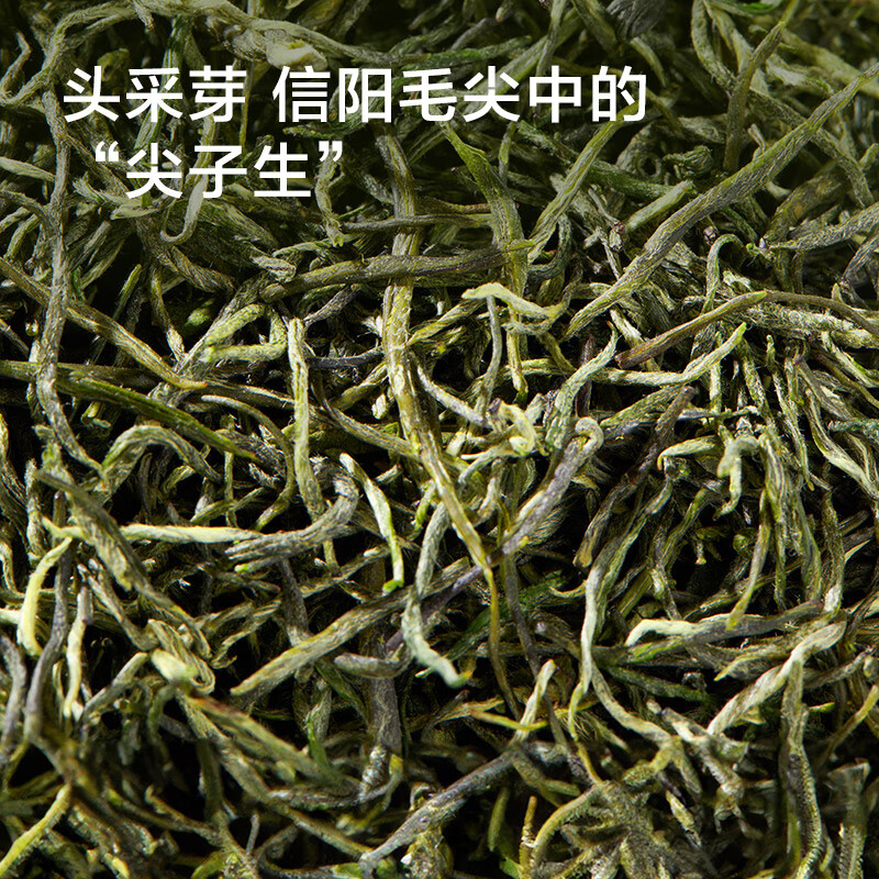 Made in Tokyo 2025 new tea special grade Xinyang Maojian 100g Lixiang Mingqian bud leaf green tea self-operated gift giving