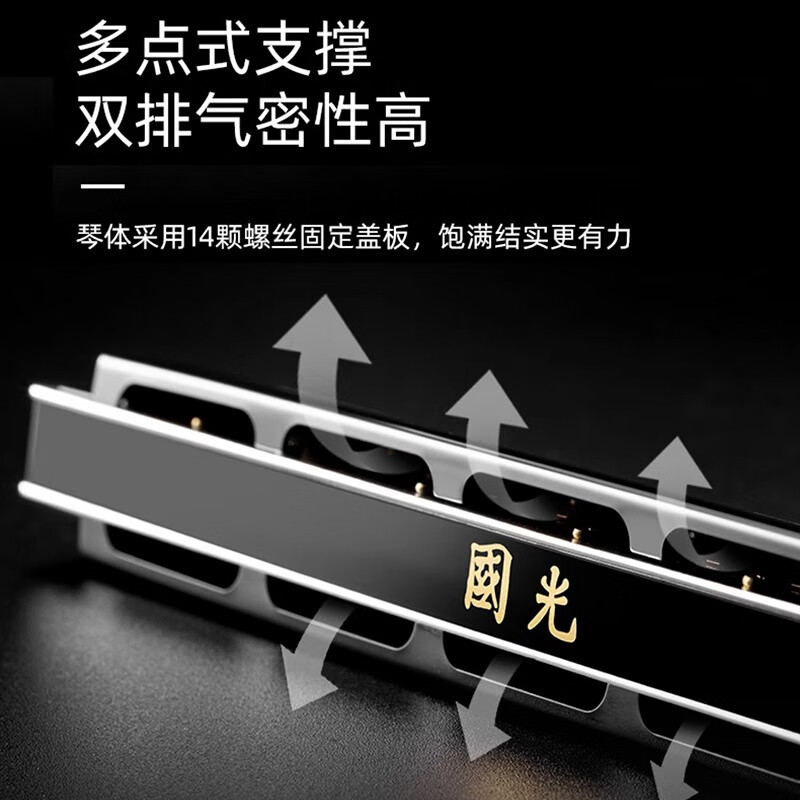 Guoguang harmonica professional performance level accented German imported gongs polyphonic C key for beginners entry-level adult self-study 24 holes C key accented silver + full set of gifts