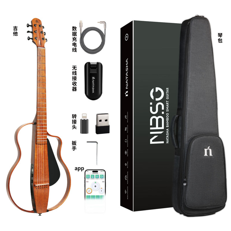 Natasha MSG mahogany core 39-inch smart silent folk steel string classical nylon stage electric box guitar