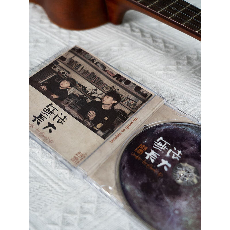Official genuine Zhao Lei CD physical album Shuqian Street Boy/Zhao Xiaolei/Jim's Restaurant/Zhao Xiaolei I Remember/Drum Tower/Youth/Chengdu Classic Folk Album Car Music Can't Grow Up
