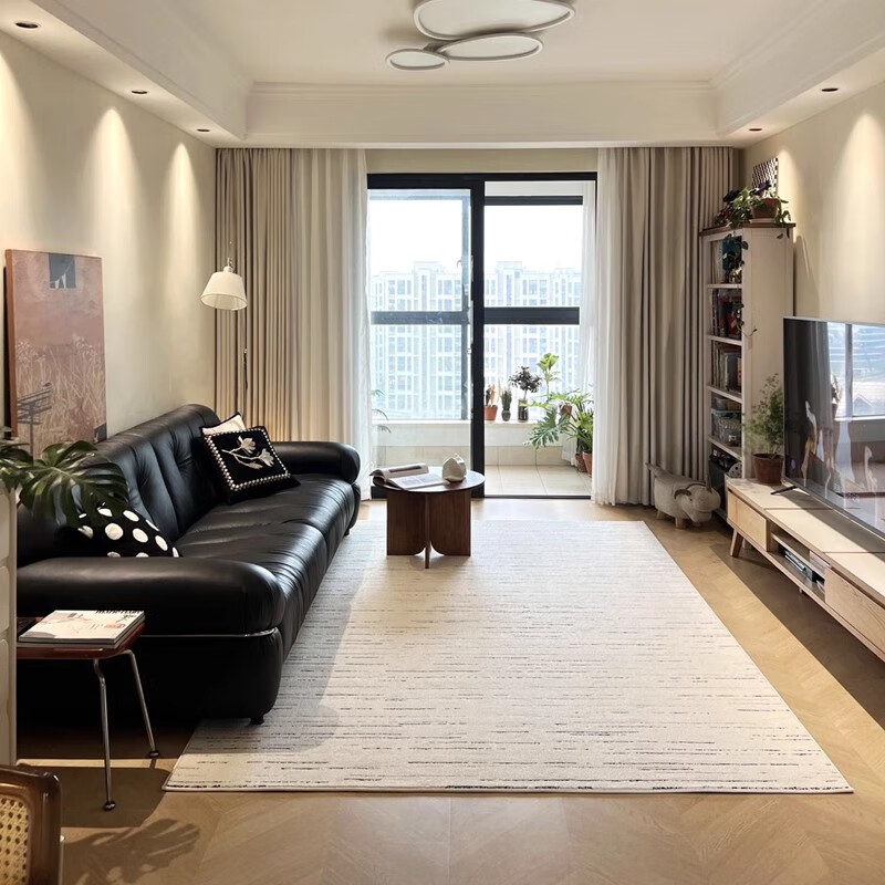 Cartifiya waterproof, non-slip and anti-stain living room carpet Xinsongxue 240*340cm light luxury style