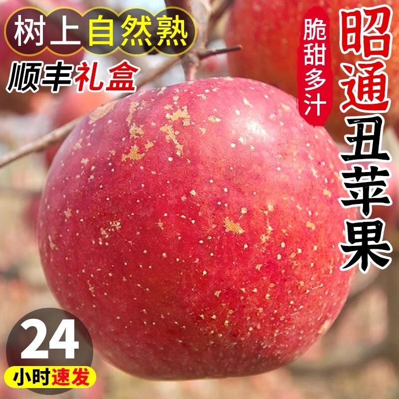 Zhichu Yunnan Zhaotong Ugly Apples Rock Candy Heart Apples Alpine Crisp Sweet Apples Fresh Fruits Group Purchase New Year Gift Box 3kg Small Fruit 60mm-65mm
