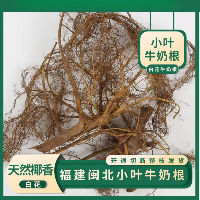 Rumored Jinfang Fujian small leaf milk root 500g freshly dug and shipped naturally dried Fujian Songxi milk root 100g fresh 500g