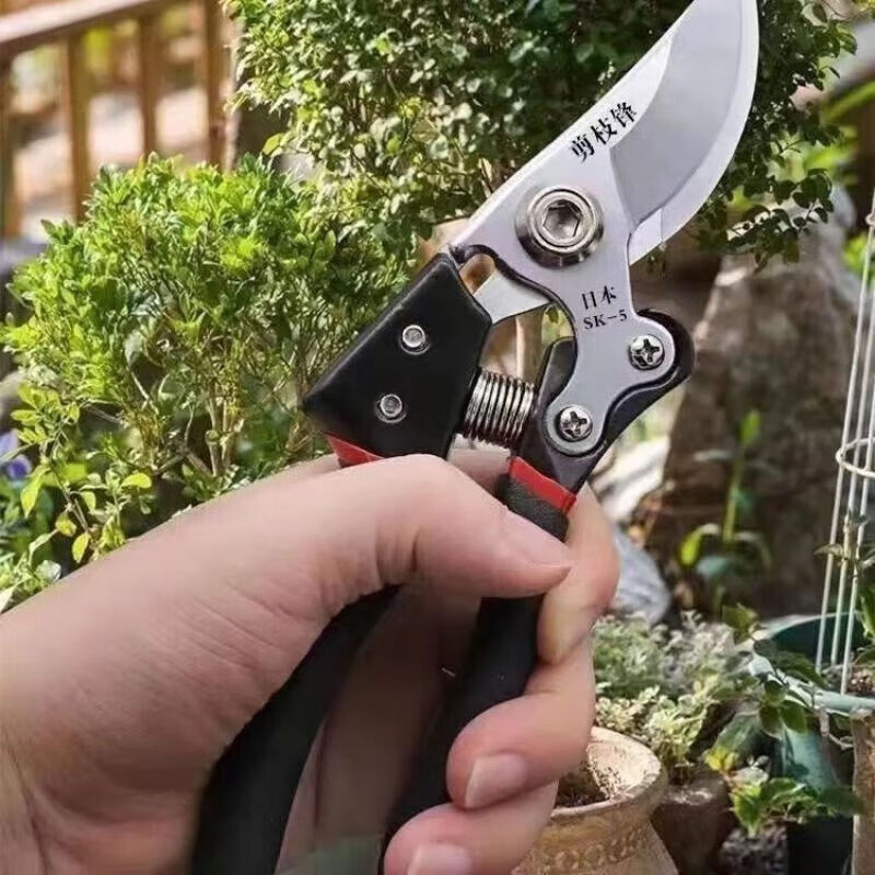 German imported pruning shears, tree shears, powerful fruit tree, household grape pruning, special flower and tree SK5 collection, SK5 powerful thick branch shears, black