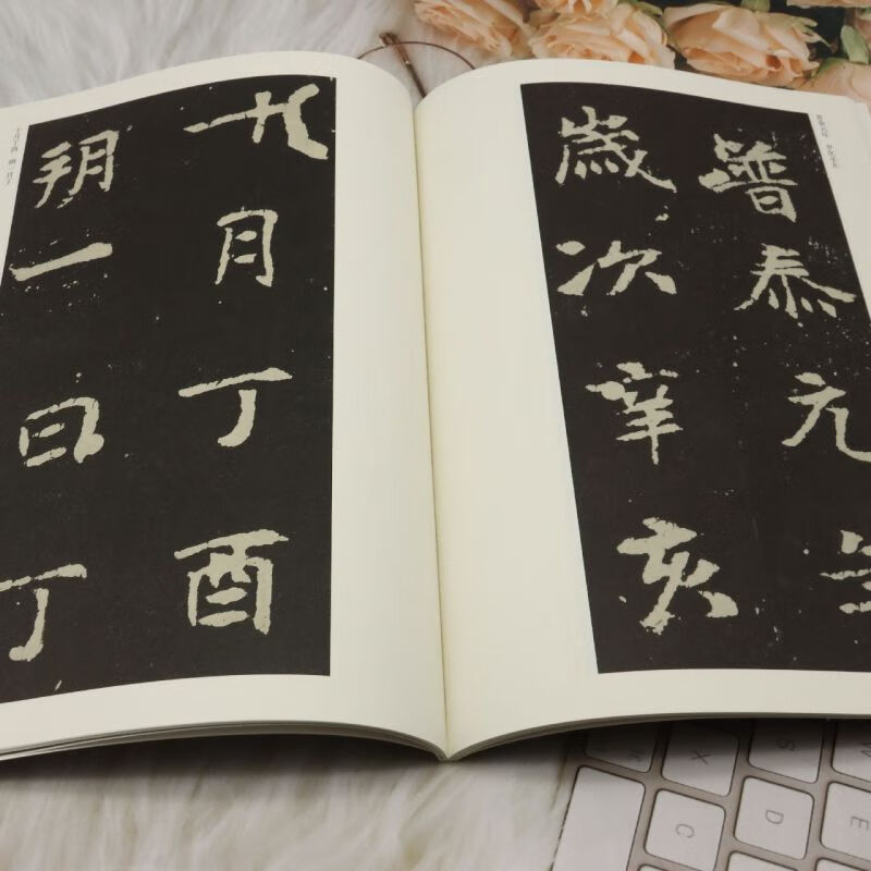 Xinhua Bookstore Genuine Northern Wei Dynasty Zhang Hei Nu’s Epitaph, Calligraphy and Seal Engraving