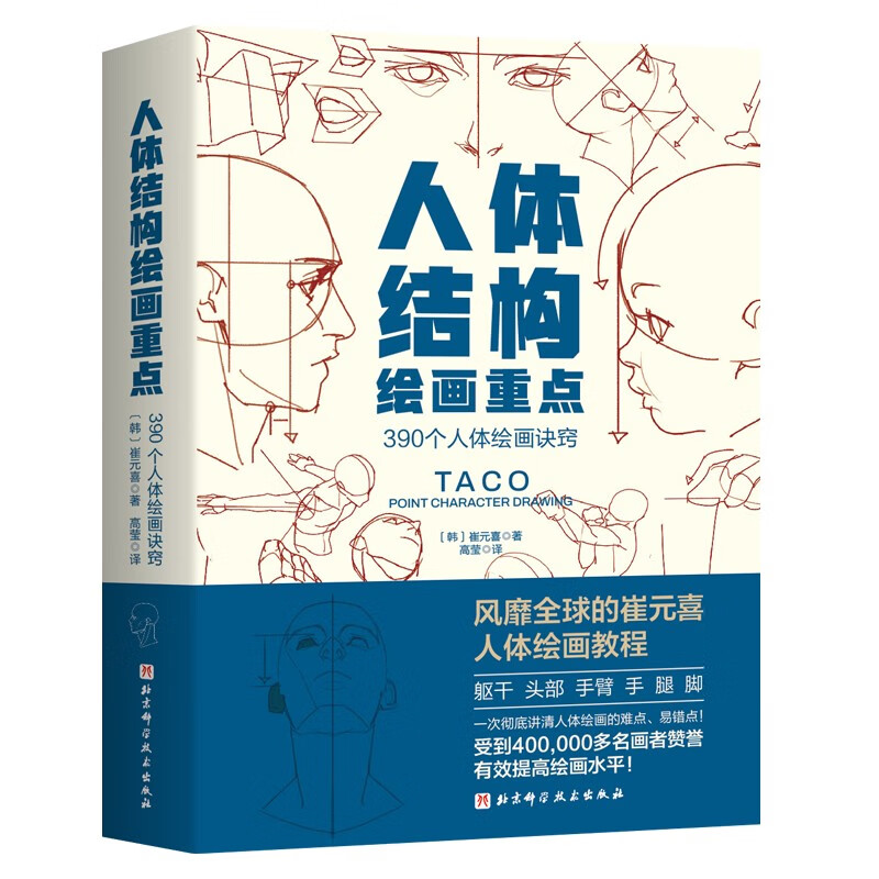 Human body structure drawing key points