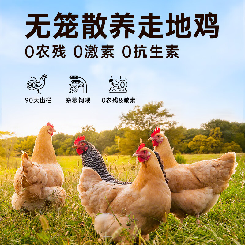 Weidangjia cat freeze-dried chicken pellets cat snacks chicken freeze-dried 500g chicken breast cat food hair gills nutritious cat and dog snacks