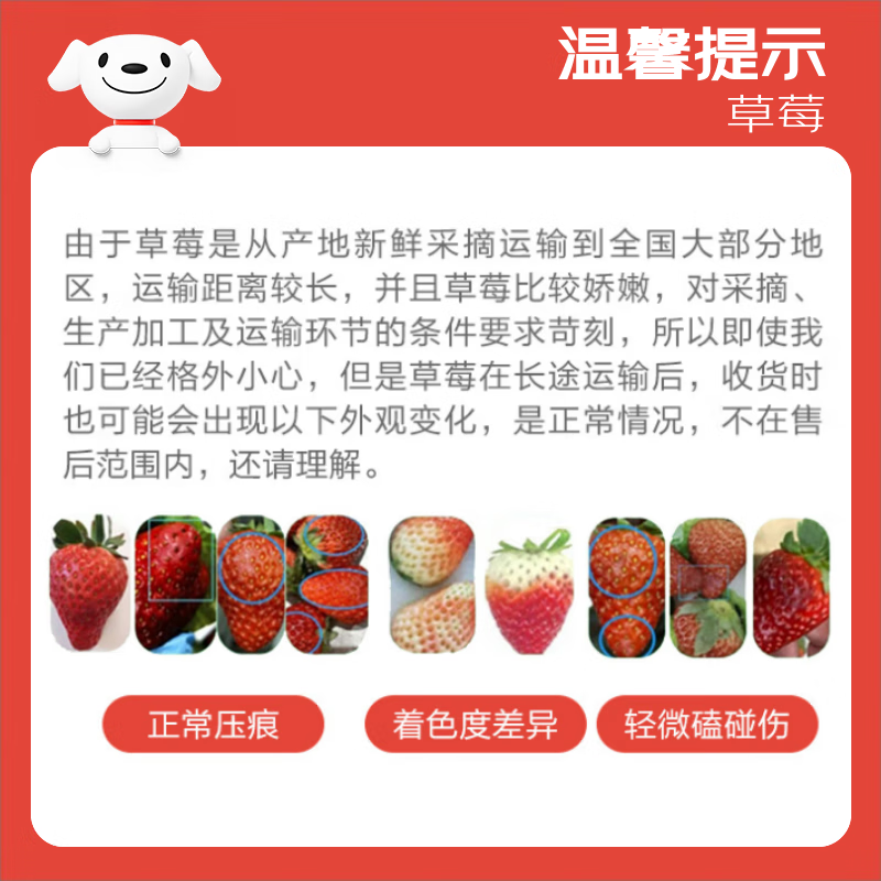 Jingxiansheng Red Strawberry 300g*2 boxes + J Cherry 450g Meiberry Fresh Fruit New Year Gift Box