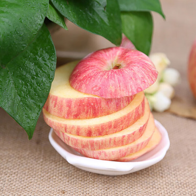 Quan Shenglong Shaanxi Baishui Red Fuji Apple 2025 New Fruit Seasonal Fruit Crisp and Sweet Optional Festival Gift Box Red Fuji 4.5 catties 75-80mm