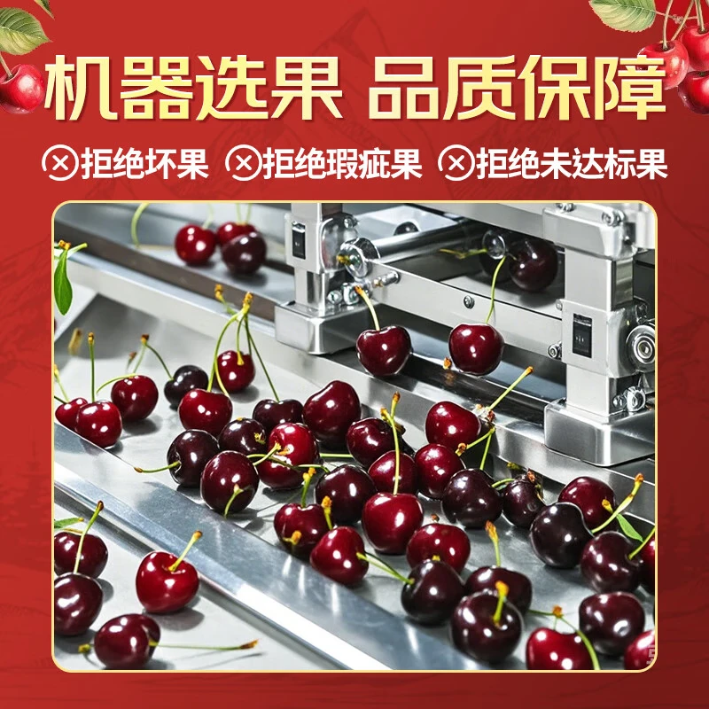 Bachi Fruit Gold Medal Cherries imported from Chile, large cherries, fresh fruits, SF, some next day delivery, rare varieties, fresh, sweet, crisp and hard, 5kg (net weight), original box is not unpacked to ensure freshness, JJJ grade single fruit 10-12g