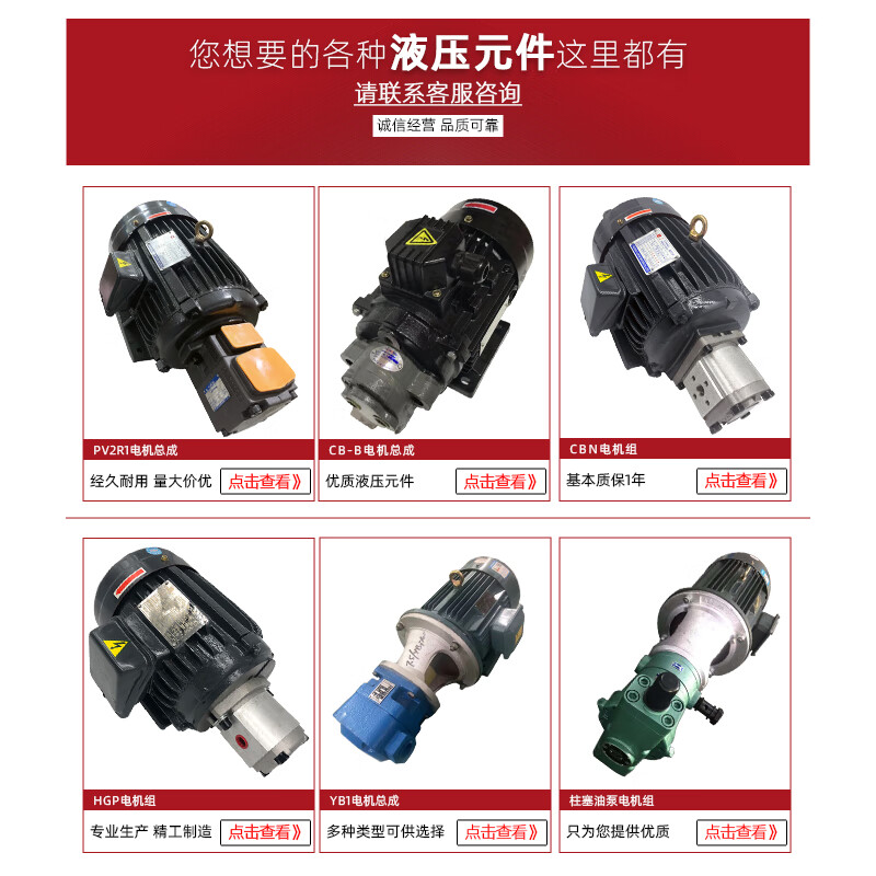 Jingsenzhen hydraulic oil pump motor unit PV2R1+3KW5.5KW hydraulic pump assembly inner shaft motor hydraulic station accessories 7.5W inner shaft motor (oil pump separately +)