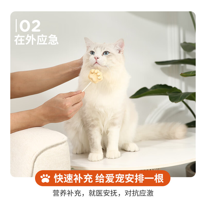 Red Dog Papi Sauce recommends 50 freeze-dried sticks, pumpkin flavored freeze-dried nutritious snacks for weight gain and teeth grinding