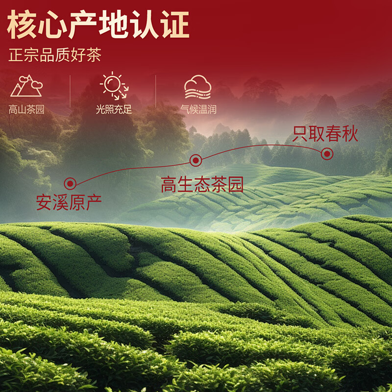 Yijiangnan Tieguanyin Tea Gift Box 300g Oolong Tea New Year Gift Box New Year Gift for Elders and Father-in-law Gift Royal Product