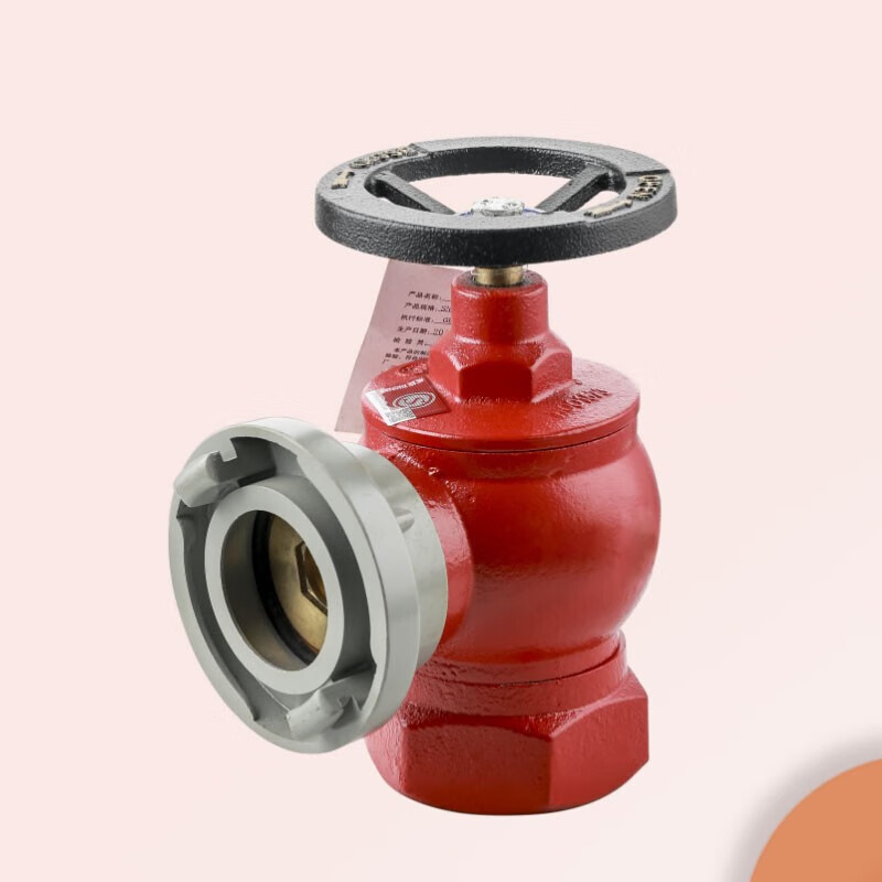 Zhongke Shenlong fire valve SN65 indoor plug flushing plug pipe switch W pressure reducing and stabilizing plug 2.5 inch fire hydrant head 2 inch faucet 1.6mpa SN65-S stainless steel 304 indoor plug