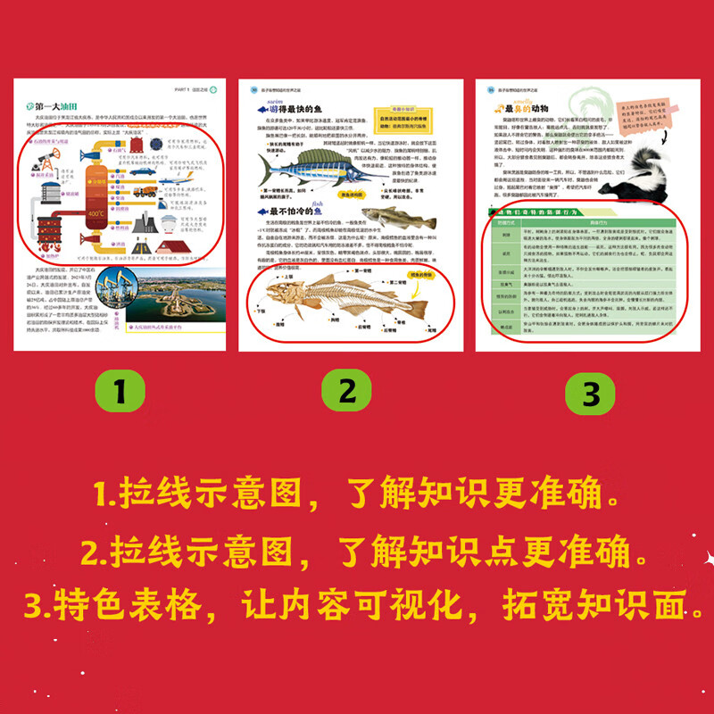 The best in the world, the best in China, the world's most interesting science gift box with pictures, all 6 volumes
