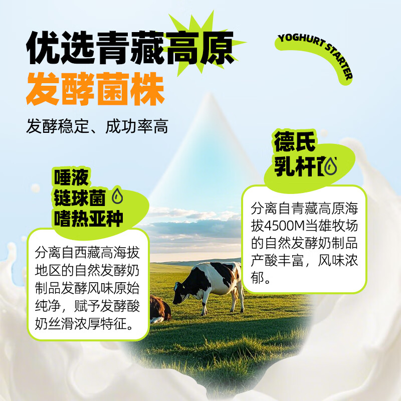 Angel Angel yogurt starter 99 bacteria 20g home-made yogurt starter strain Bifidobacterium probiotic powder