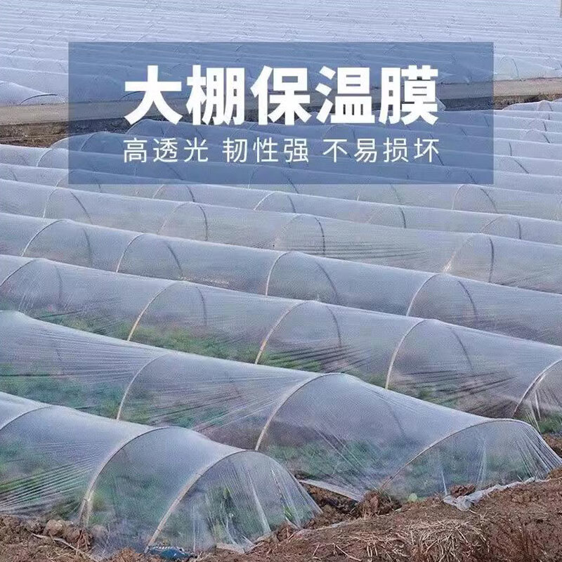 FANCYCHIC white transparent agricultural thickened small shed special film vegetable field insulation film winter 2.2 meters wide 5 wires thick agricultural film 30 meters long