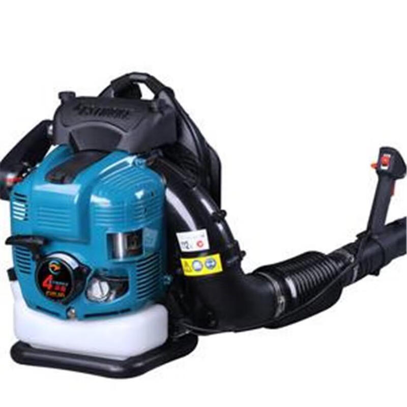 Gasoline hair dryer, greenhouse snow blower, portable wind fire extinguisher, Dowshwell EB850 high power blower, two-stroke backpack snow blower