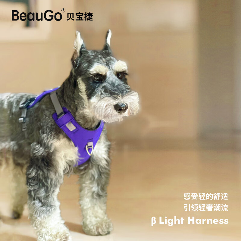 BeauGo Dog Harness Dog Clothes Small Dog Leash Large Dog Rope Dog Harness Dog Leash Blazing Yellow S Size Chest 44-54cm Weight 6-10KG