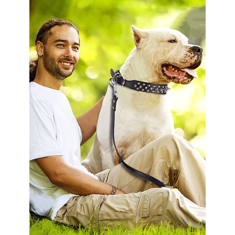 OIMG dog collar metal anti-bite rivet dog collar small dog medium dog collar French bulldog pet dog leash black with free bell XS neck circumference 20-27cm (about 4-7 pounds)