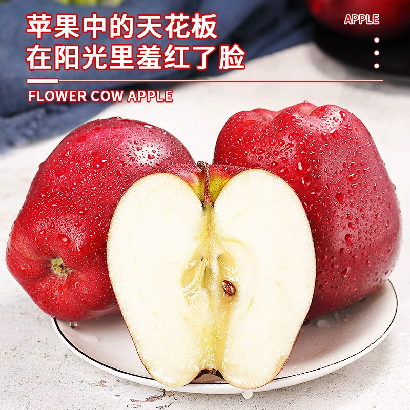Jingdida Gansu Tianshui Huaniu Apple Fruit Gift Box Holiday Gift 12 Pieces Net Weight 7 Jin Single Fruit 250g + Free Shipping from Source