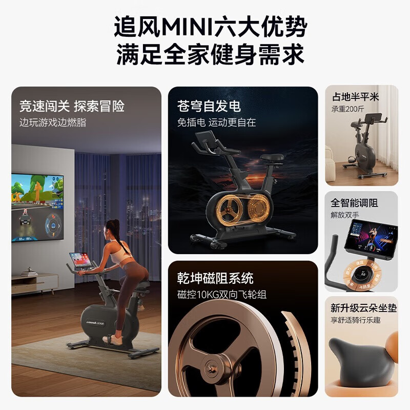 Lijiujia spinning bicycle self-generating household intelligent resistance adjustment sports fitness equipment indoor bicycle Zhuifeng MINI self-generating/10KG flywheel set/black