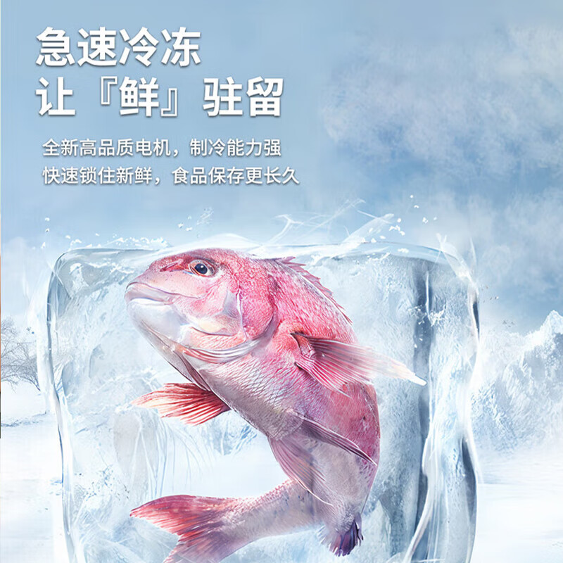 Chigo double-door refrigerator small rental dormitory double-door refrigeration and freezing first-class energy efficiency home large-capacity office refrigerator micro-frost two-door first-class energy efficiency BCD-168CD shelf model