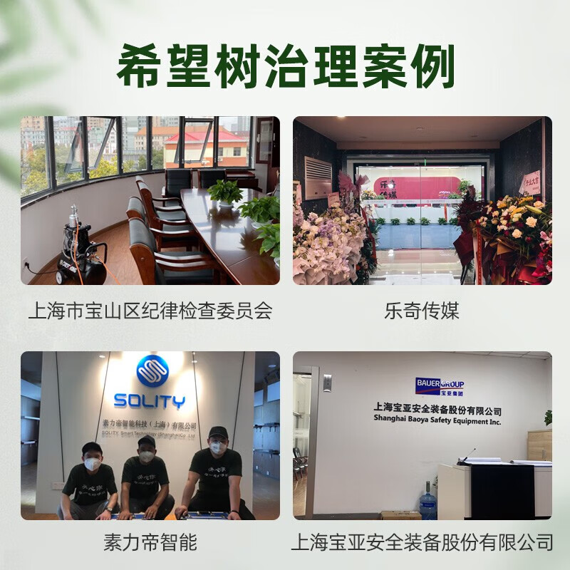 Hope Tree national standard treatment door-to-door formaldehyde removal service 90 square meters indoor formaldehyde removal air pollution control door-to-door service