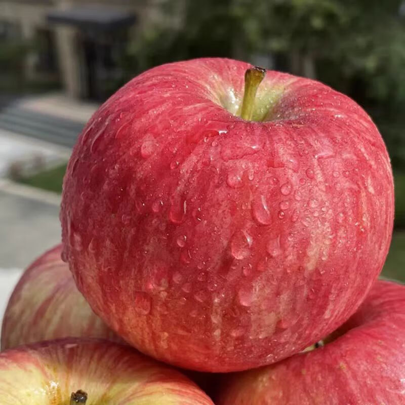 Zhu's Orange Organic Plateau Apple Red Fuji Fresh Fruit High-end Seasonal Apple Whole Box Fresh Gift Box Gift Box 24 Large Fruits for the Family, About 13 Jin in a Box