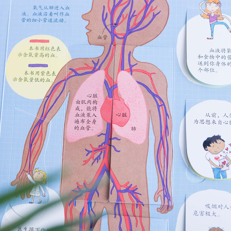 Usborne Look Inside (3-6 years old version) Revealing the Secret of the Body