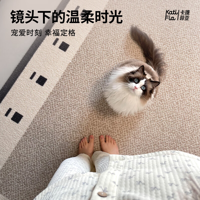 Cartifiya carpet living room imported wool non-slip light luxury high-end sofa bedroom blanket Yinshan-wool 2.4*3.4 meters