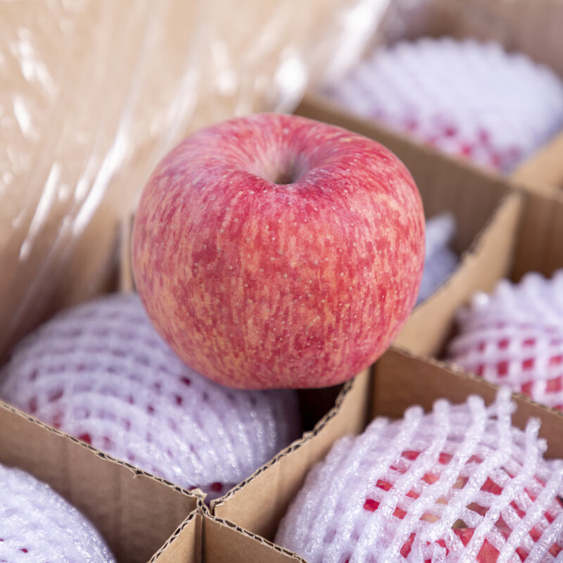 Zhu's Orange Organic Plateau Apple Red Fuji Fresh Fruit High-end Seasonal Apple Whole Box Fresh Gift Box Gift Box 24 Large Fruits for the Family, About 13 Jin in a Box