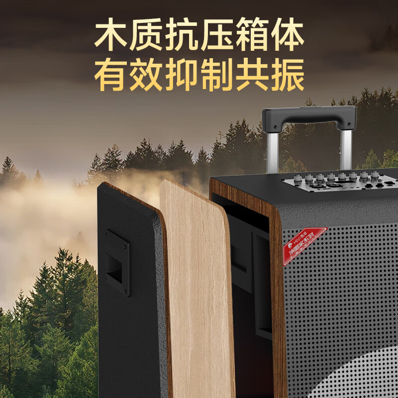 HiVi 15-inch high-end outdoor audio high-power square dance rod audio musical instrument speaker professional stage performance subwoofer dual microphone MY15