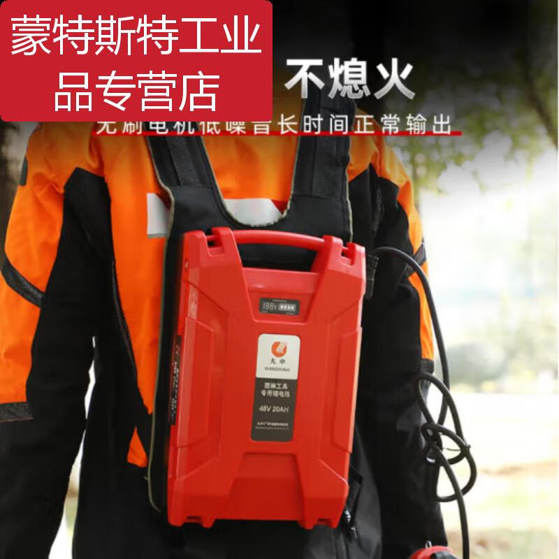 -BT56 lithium hair dryer for blowing snow in greenhouses, fire fighting, blowing leaf dust on the road, one charge and one charge Marunaka - BT56 lithium hair dryer (including battery)