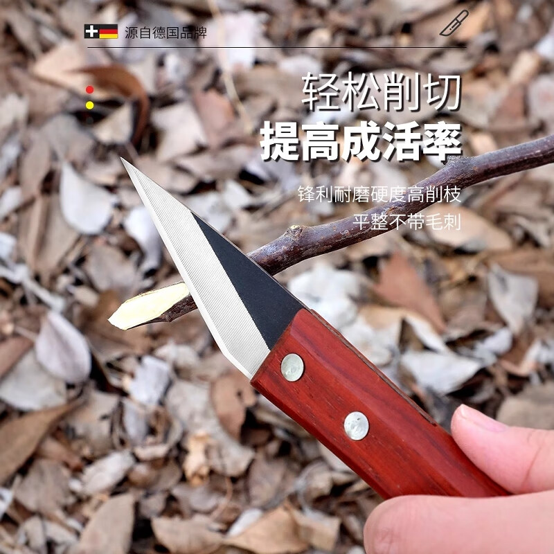 Jingyouyu German grafting special knife, fruit tree grafting knife, grafting tree pruning knife, fruit tree bud grafting artifact, sharp steel sharp tool 804-front steel grafting knife, single blade