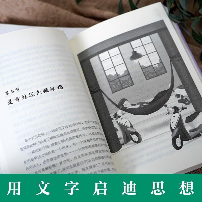 Ivy International Award-winning novels, gift box collection of 8 volumes, genuine Newbery Gold and Silver Award-winning children's literature, youth reading, primary school students' third, fourth, fifth, and sixth grade extracurricular books, primary school students' senior reading classic masterpieces, extracurricular books, Evergreen International Award-winning children's literature novels, storybooks, world classics bestsellers