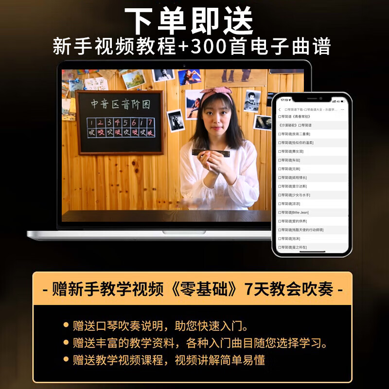 Guoguang genuine Guoguang 24-hole C-key polyphonic harmonica for beginners 28-hole accented performance level classic model (with phonetic symbols) 24-hole accented silver + gift bag