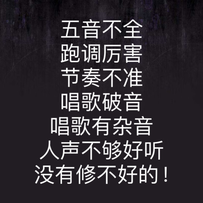 Noise removal, audio repair, music repair, sound quality repair, accompaniment repair, tone repair, song repair