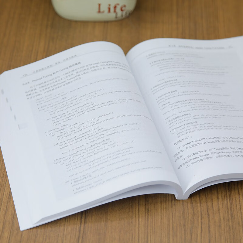 Building large models from scratch Algorithms, training and fine-tuning