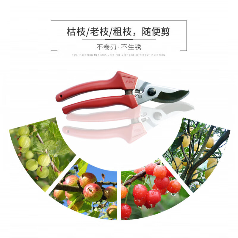 Japan imported pruning shears gardening shears garden tools scissors fruit tree shears thick branch shears ARS Alice pruning shears 120EU + shear set