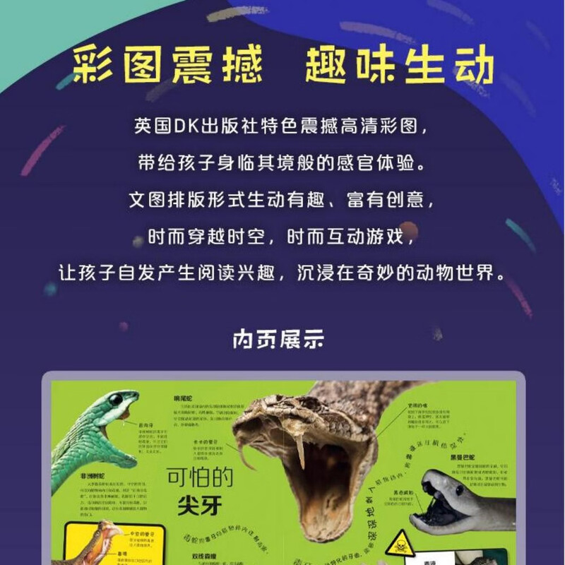 DK Animal Encyclopedia Series Reptiles