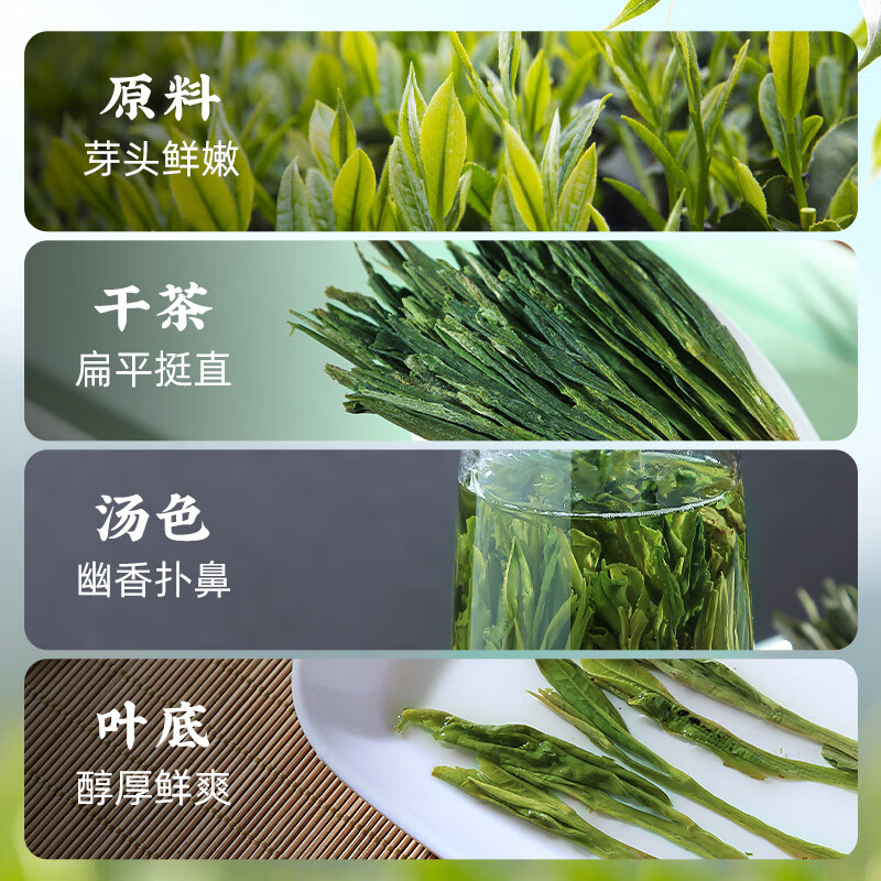 Huiliu Green Tea Taiping Houkui Tea 50g Xunwei 500 Special Grade 2025 New Tea Hand-pinned Straight from the Source