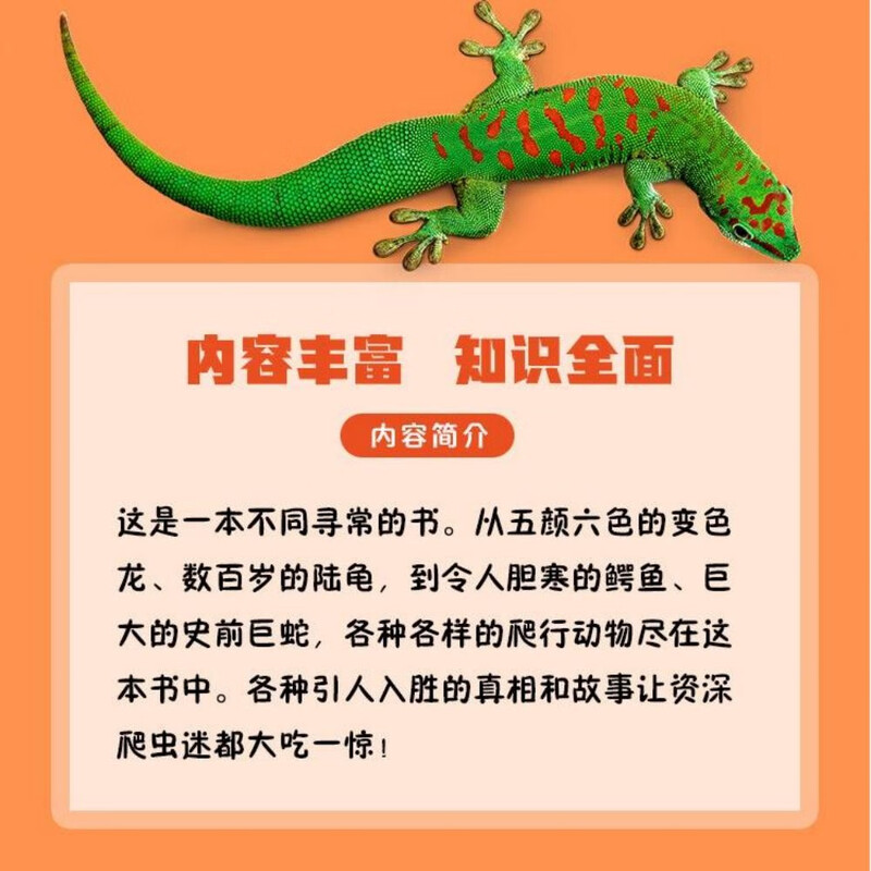 DK Animal Encyclopedia Series Reptiles