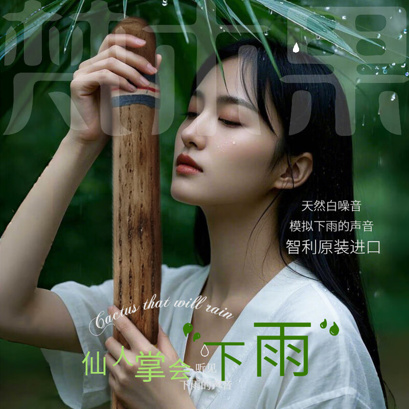 Fanmu Guo & De Rui Healing Rain Stick South America Chile De Rui Cactus Rain Sounder Rain Sound Tube Ethnic Minor Instrument South American Palm L=75cm