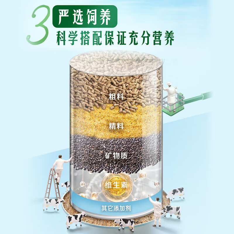 Yili Jindian Pure Milk Full Box 200ml*24 Boxes 3.6g Milk Protein Native High Calcium New Year Gift Box